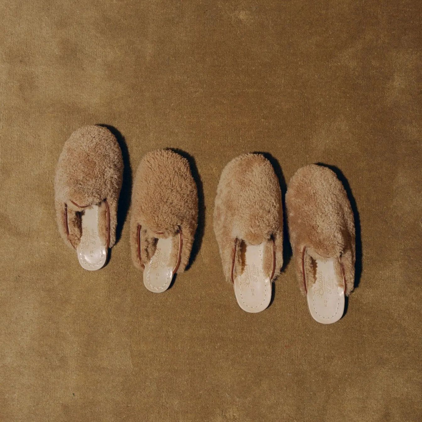 Bernie Baba (Womens)