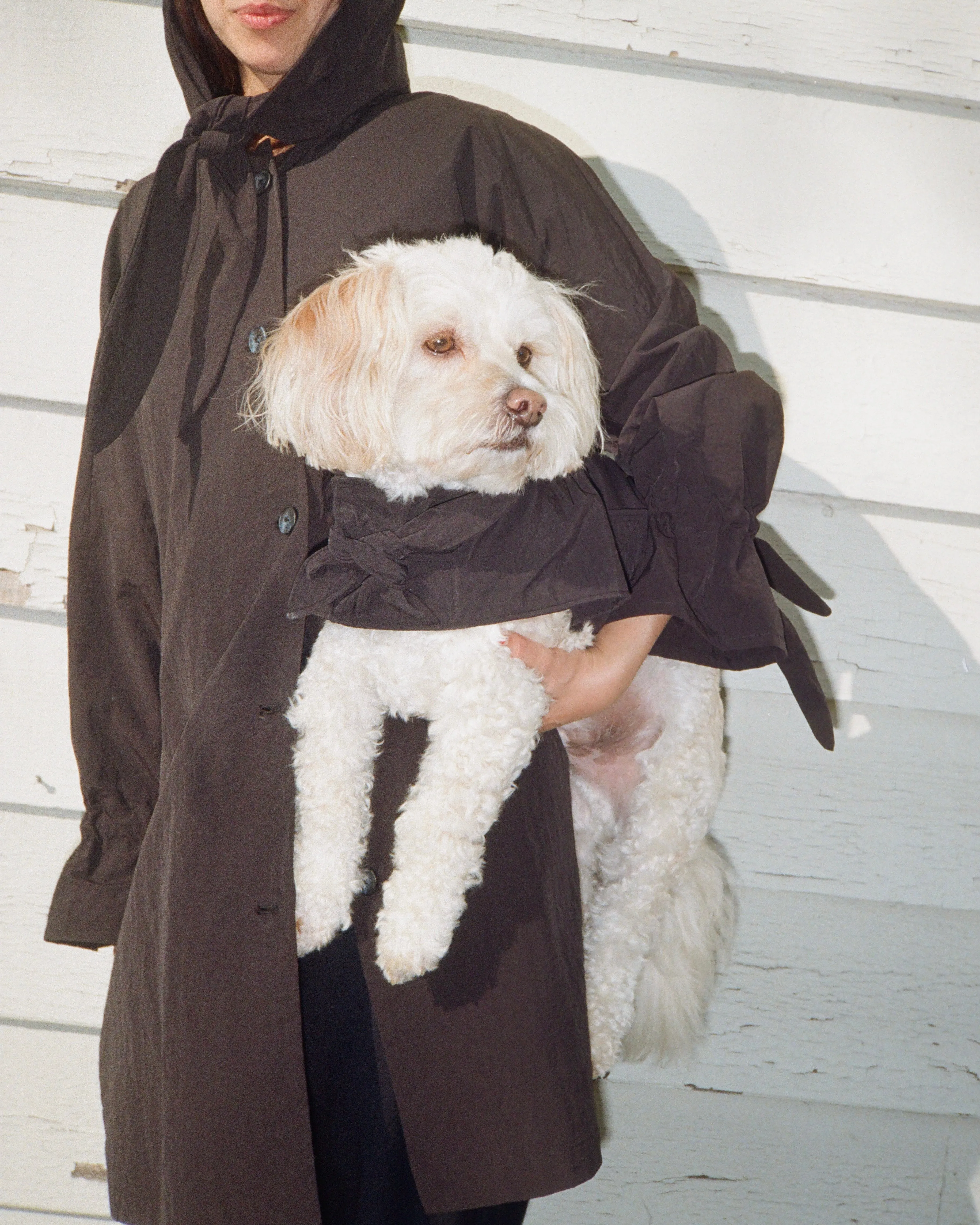 Toto Dog Jacket